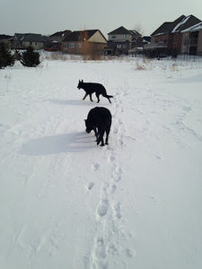 Meet your Posher, Tara